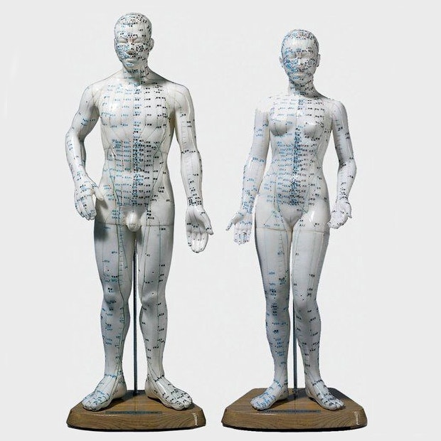 acupunctuur-model-45-cm