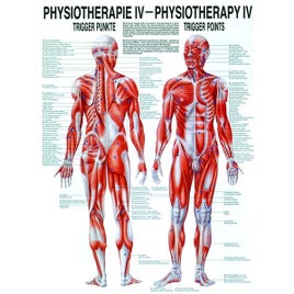 Poster Triggerpoints 50 x 70 cm