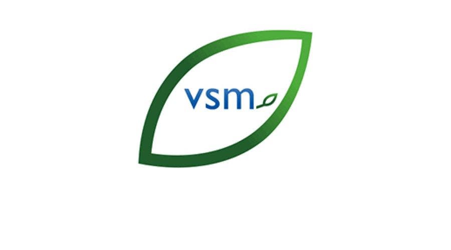 VSM