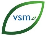 VSM